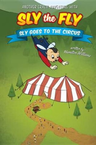 Cover of Another Crazy Adventure with Sly the Fly