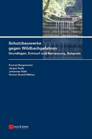 Cover of Schutzbauwerke gegen Wildbachgefahren