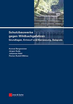 Book cover for Schutzbauwerke gegen Wildbachgefahren