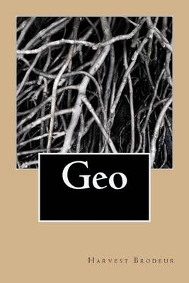 Book cover for Geo