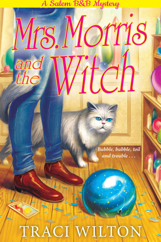 Cover of Mrs. Morris and the Witch