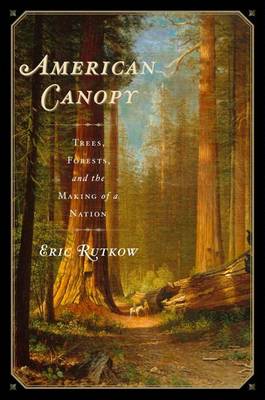 Book cover for American Canopy