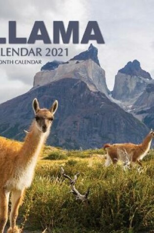 Cover of llama Calendar 2021