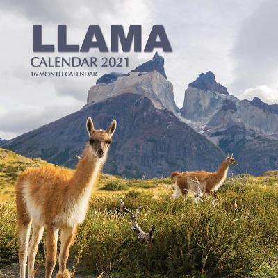 Book cover for llama Calendar 2021