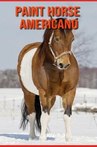 Cover of Paint Horse Americano