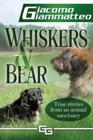 Cover of Whiskers and Bear