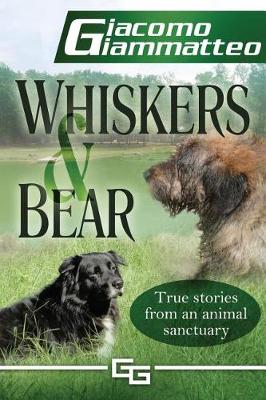 Book cover for Whiskers and Bear