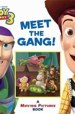 Cover of Meet the Gang!