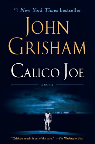 Book cover for Calico Joe