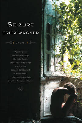 Book cover for Seizure