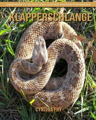 Book cover for Klapperschlange