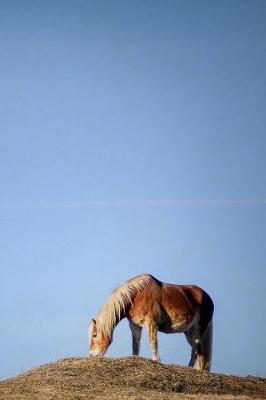 Book cover for Solitary Horse Grazing in the Grasslands Journal