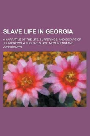 Cover of Slave Life in Georgia; A Narrative of the Life, Sufferings, and Escape of John Brown, a Fugitive Slave, Now in England