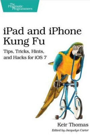 Cover of iPad and iPhone Kung Fu