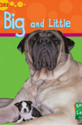 Cover of Big and Little