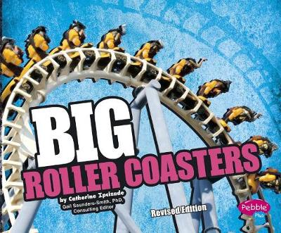 Book cover for Big Big Roller Coasters