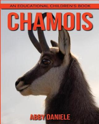 Book cover for Chamois! An Educational Children's Book about Chamois with Fun Facts & Photos
