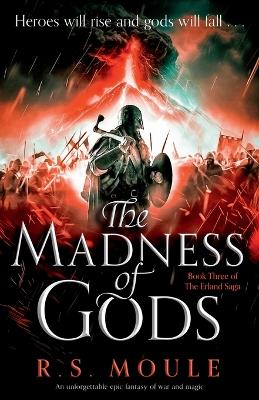 Cover of The Madness of Gods