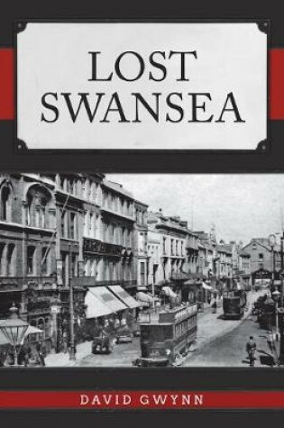 Cover of Lost Swansea