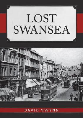 Book cover for Lost Swansea