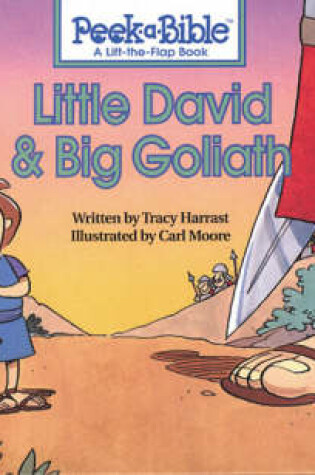Cover of Little David and Big Goliath