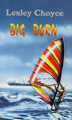 Book cover for Big Burn