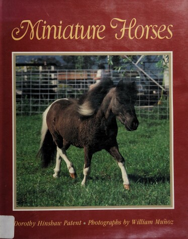 Book cover for Patent & Munoz : Miniature Horses (Hbk)