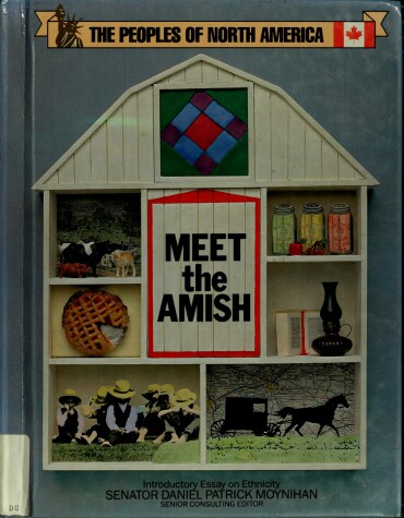 Book cover for Meet the Amish