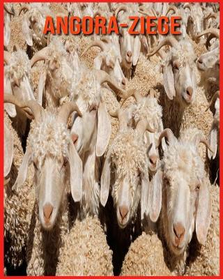 Book cover for Angora-Ziege