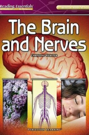 Cover of The Brain and Nerves