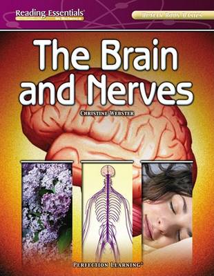 Book cover for The Brain and Nerves