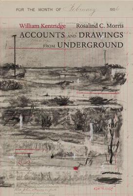 Book cover for Accounts and Drawings from Underground