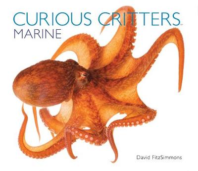 Book cover for Curious Critters Marine