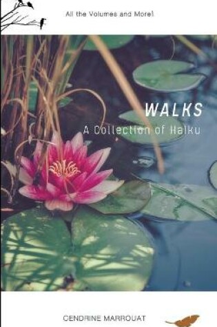 Cover of Walks