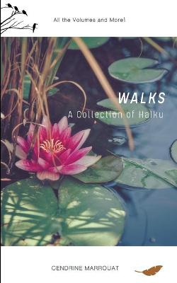 Book cover for Walks