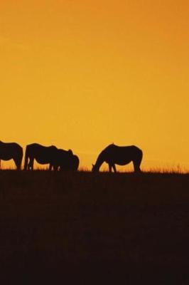 Cover of Journal Horses Sunset Silhouettes Equine