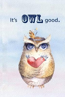 Book cover for It's Owl Good.