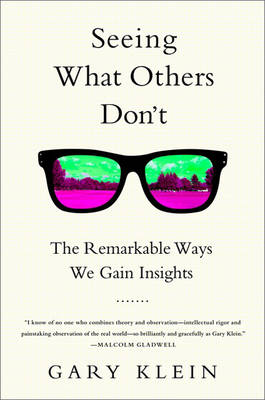 Seeing What Others Don't by Gary Klein