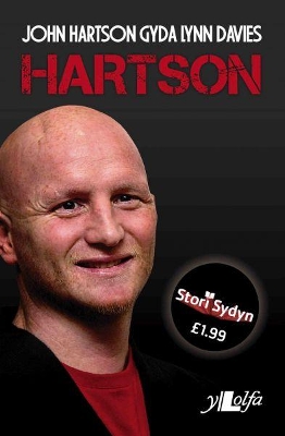 Book cover for Stori Sydyn: Hartson