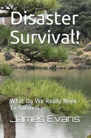 Cover of Disaster Survival!