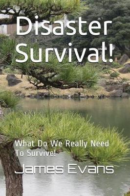 Book cover for Disaster Survival!