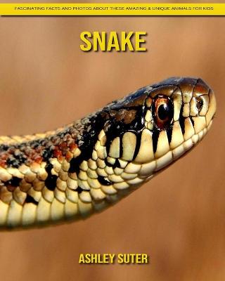 Book cover for Snake