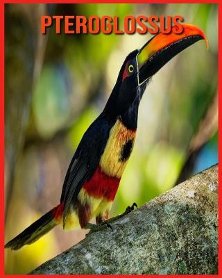 Book cover for Pteroglossus