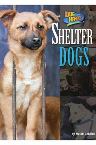 Cover of Shelter Dogs
