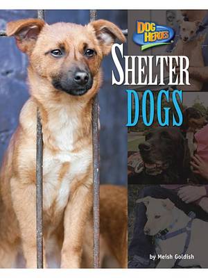 Cover of Shelter Dogs