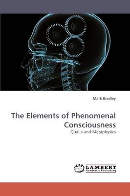 Book cover for The Elements of Phenomenal Consciousness