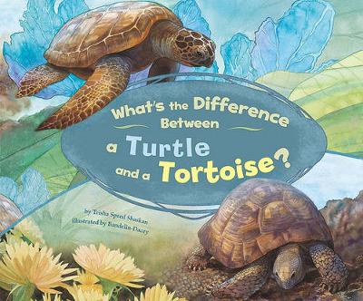 Book cover for What's the Difference Between a Turtle and a Tortoise?