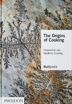 Book cover for The Origins of Cooking