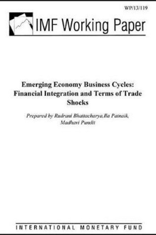 Cover of Emerging Economy Business Cycles