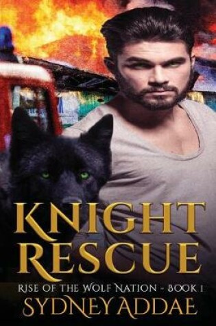 Cover of Knight Rescue